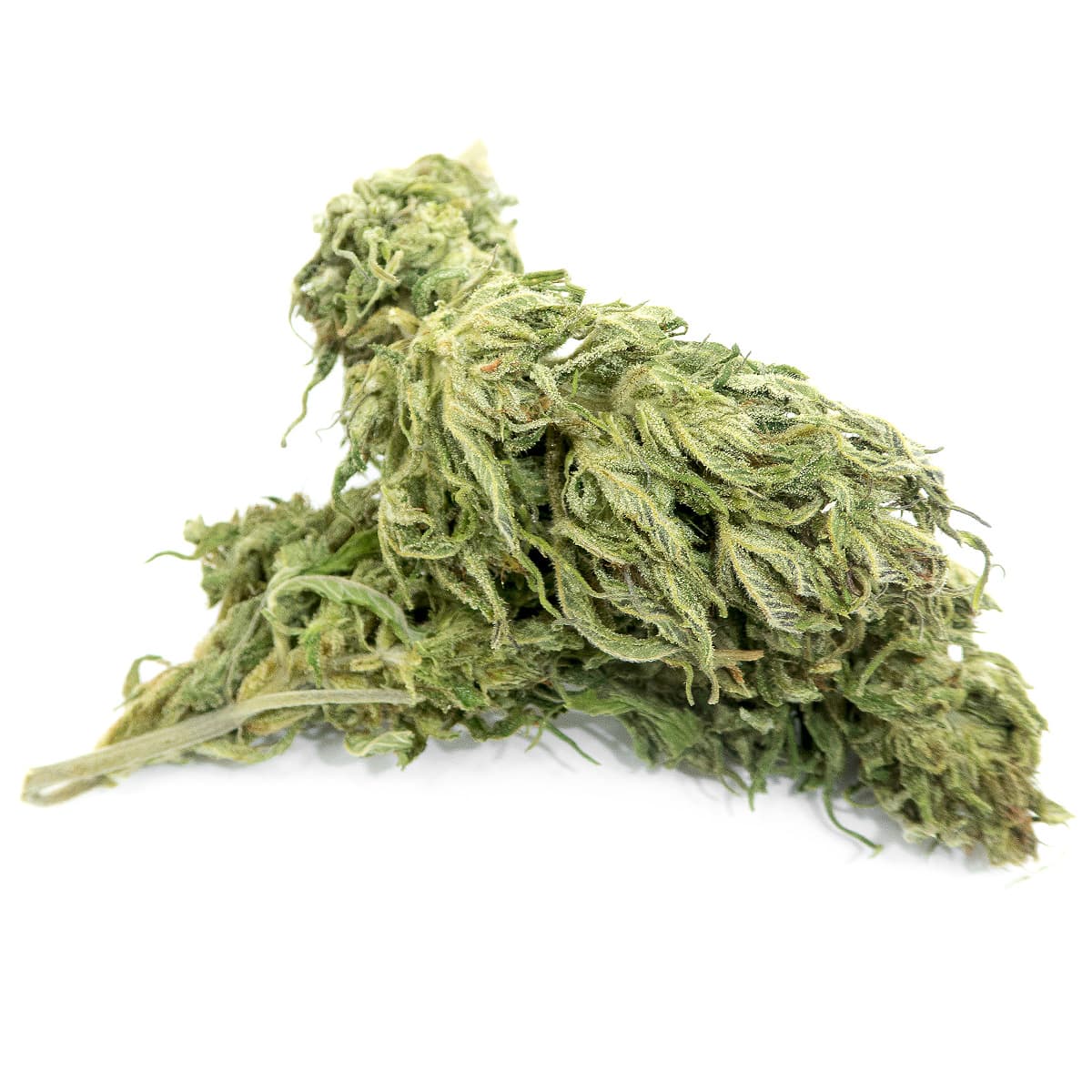 swiss-cbd-wholesale-legal-cannabis-light