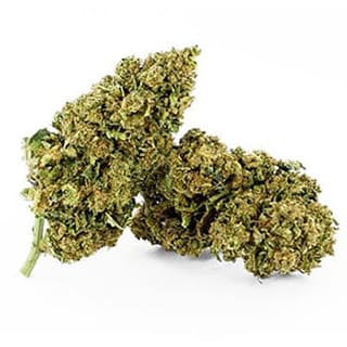 Swiss CBD Wholesale, legal cannabis light, Europe delivery, premium weed ACAPULCO GOLD