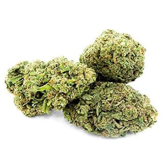 Swiss CBD Wholesale, legal cannabis light, Europe delivery, premium weed ac/dc