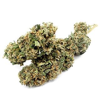 Swiss CBD Wholesale, legal cannabis light, Europe delivery, premium weed Ball Kush