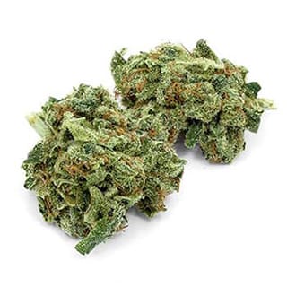 Swiss CBD Wholesale, legal cannabis light, Europe delivery, premium weed BLUEBERRY