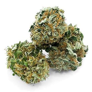 Swiss CBD Wholesale, legal cannabis light, Europe delivery, premium weed CBD THERAPY