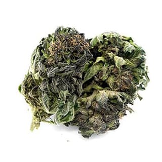 Swiss CBD Wholesale, legal cannabis light, Europe delivery, premium weed Deep purple