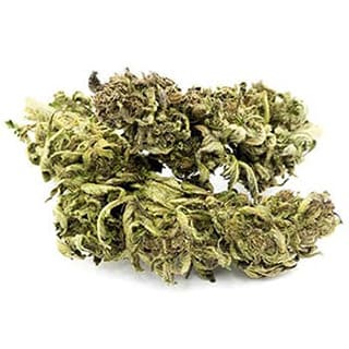 Swiss CBD Wholesale, legal cannabis light, Europe delivery, premium weed Delta 405