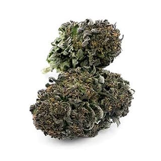 Swiss CBD Wholesale, legal cannabis light, Europe delivery, premium weed DINAMED