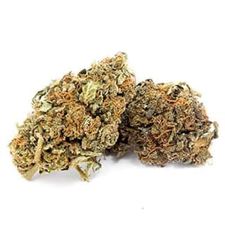 Swiss CBD Wholesale, legal cannabis light, Europe delivery, premium weed Epsilon 68