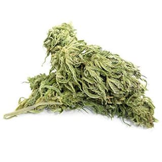 Swiss CBD Wholesale, legal cannabis light, Europe delivery, premium weed Félina 34