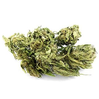 Swiss CBD Wholesale, legal cannabis light, Europe delivery, premium weed Futura