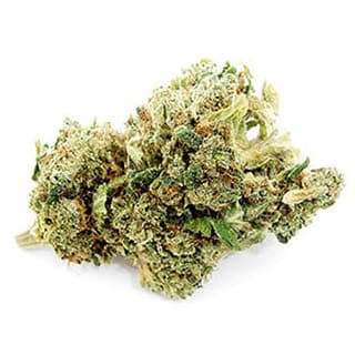 Swiss CBD Wholesale, legal cannabis light, Europe delivery, premium weed Green Mary
