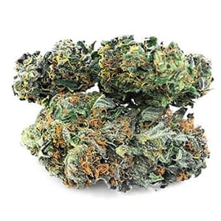 Swiss CBD Wholesale, legal cannabis light, Europe delivery, premium weed Hawaiian