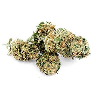 Swiss CBD Wholesale, legal cannabis light, Europe delivery, premium weed Lemon widow