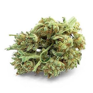Swiss CBD Wholesale, legal cannabis light, Europe delivery, premium weed SANDY BUD