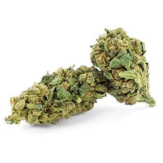 Swiss CBD Wholesale, legal cannabis light, Europe delivery, premium weed STRAWBERRY KUSH