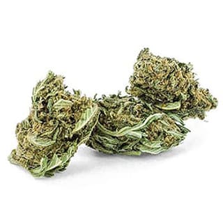 Swiss CBD Wholesale, legal cannabis light, Europe delivery, premium weed SUPREME LEMON