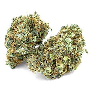 Swiss CBD Wholesale, legal cannabis light, Europe delivery, premium weed ACAPULCO GOLD