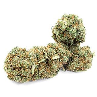 Swiss CBD Wholesale, legal cannabis light, Europe delivery, premium weed Vanillia's Web